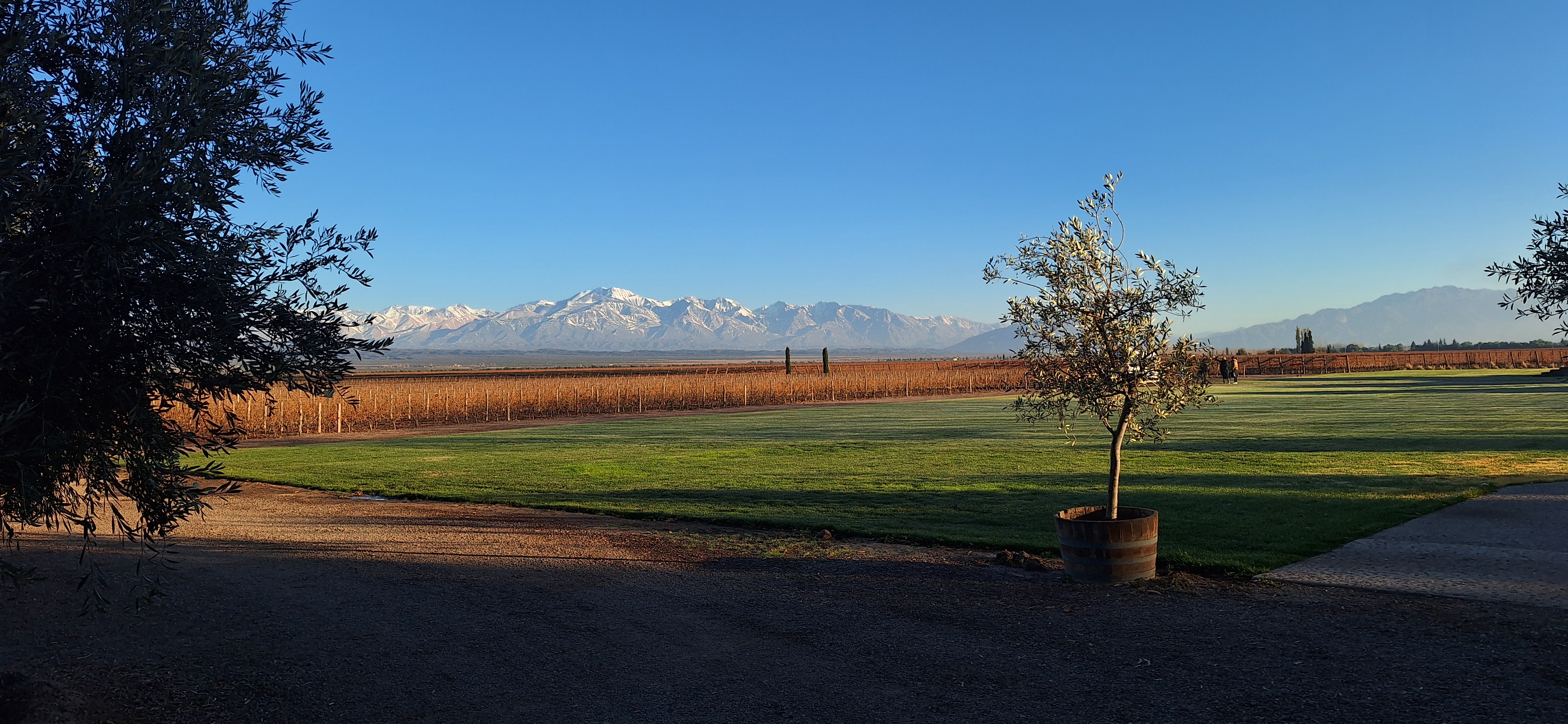 Mendoza 2
