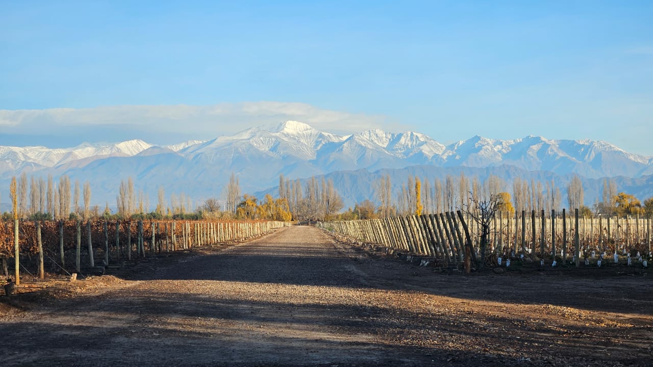 Mendoza 3