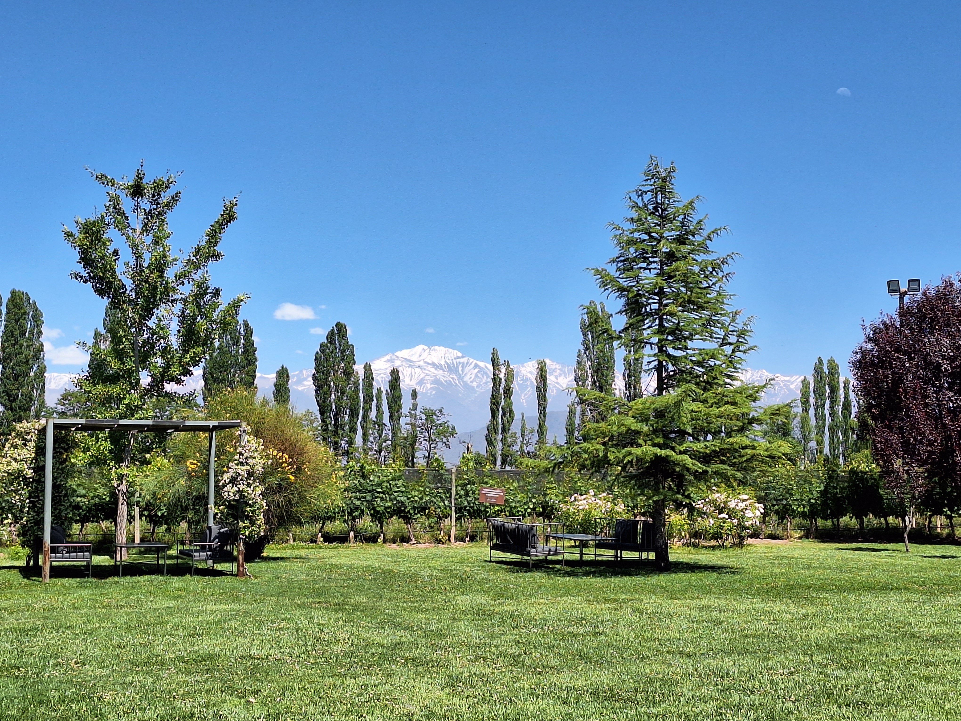 Mendoza 4